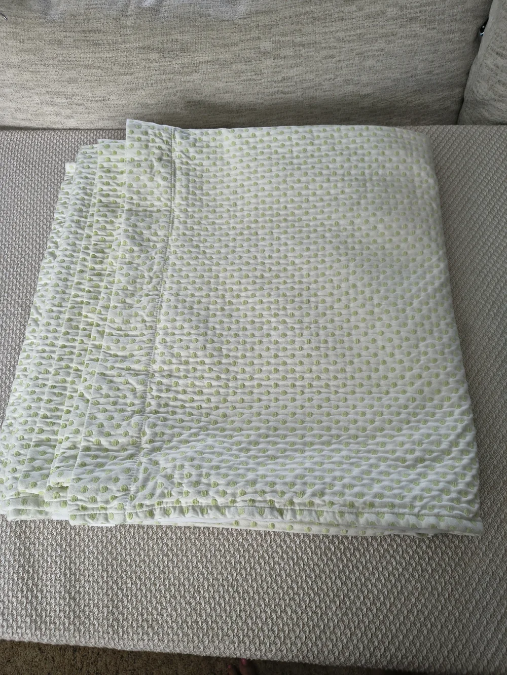 Pottery Barn Kids Audrey Chenille Dot Curtain Panels Green Set of 2